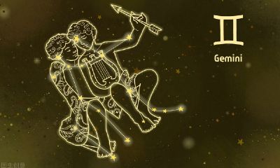 双子座11月份爱情（双子座对待爱情）