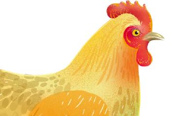 生肖年份1993（1993年属鸡今年多少岁）