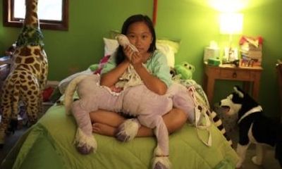 被抱养的孩子前世是什么命（抱养的孩子八字还准吗）