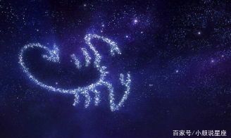 让狮子座痴迷的星座（让狮子座幸福的星座）