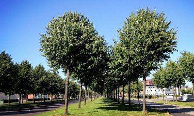 怎么挽回摩羯座的心（伤了摩羯女的心还能挽回吗）