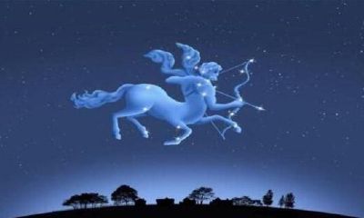 狮子座8月感情三角恋（7月份的狮子座和8月份的狮子座）