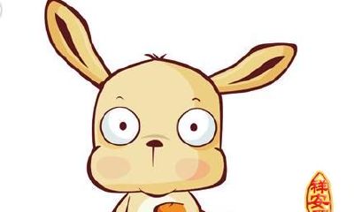 兔子今年爱情运（属兔的今年运程）