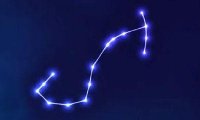 天蝎座女人最爱什么星座男（最适合天蝎女的星座男）