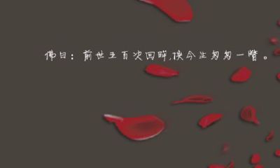 前世五百次的回眸一笑百（前世的三千次回眸才换来今生）