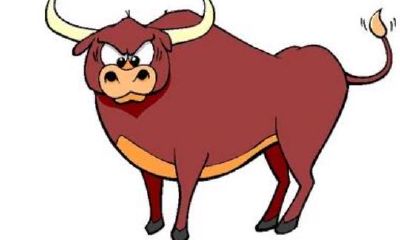 85年属牛的桃花劫（85年属牛的属相婚配表）