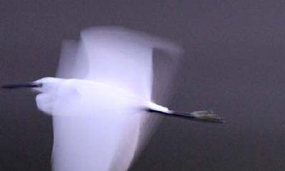 算命说的华盖是什么意思（八字华盖怎么看阴阳）