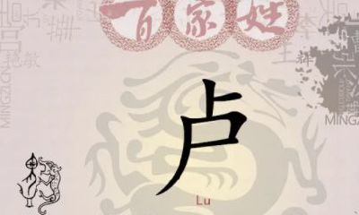 卢姓女孩起名属猪（射手座和狮子座的配对率是多少）