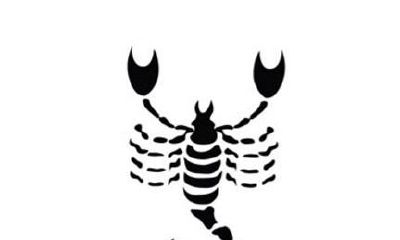 天蝎座的战斗力（天蝎座什么最强）