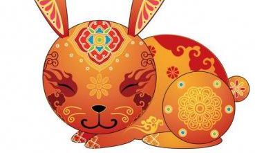 属兔是兔子吗（什么属相不能养兔子）