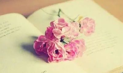 沁字取名女孩名字（五行属金有涵养的字女孩）