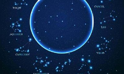 金牛座男容易一见钟情的星座女（最让金牛男心动的星座）