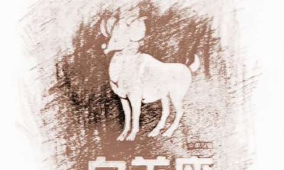 上升白羊特质（上升白羊男喜欢的类型）