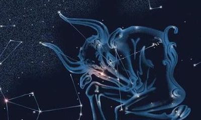 什么样的人喜欢金牛座（金牛座喜欢上一个人会怎么样）