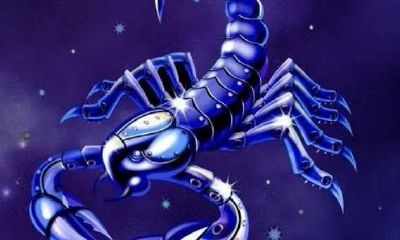 天蝎座pk摩羯座谁胜出（星座学为什么推崇天蝎和摩羯）