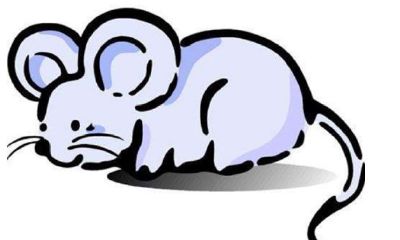 属虎的最佳婚配属相男（属鸡男和什么属相最配）