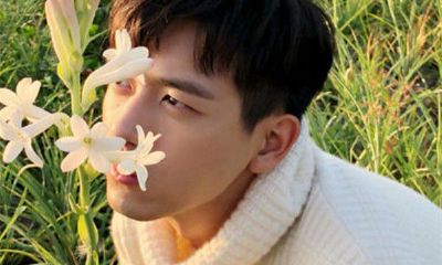 狮子天蝎摩羯天秤（狮子座是天蝎座的克星）