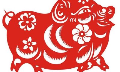 95年出生的属相是属什么（95年女猪和啥属相婚配）