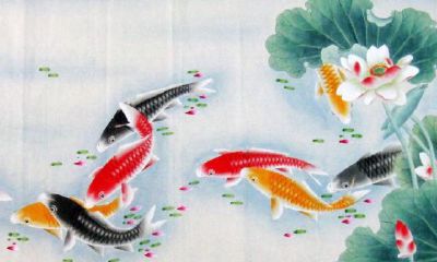 双鱼戏莲花寓意是什么（双鱼荷花寓意是什么）