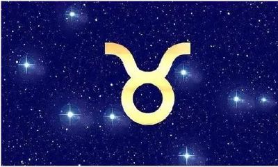 2023大预言金牛座感情（2023年感情有第三者的星座）
