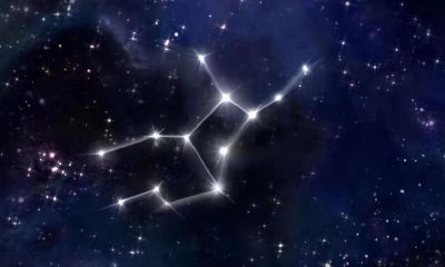 处女座男聊天话很少（处座男对喜欢的人聊天）