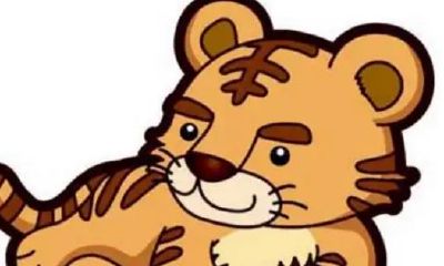 虎年五行属火寓意好的字（属虎缺火的女孩名字）