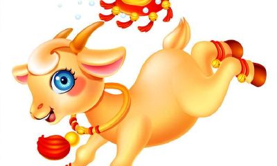 属兔的人怎么变漂亮（属兔的人是什么命）