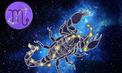 属羊天蝎男爱上一个人（天蝎座男人深爱情人表现）