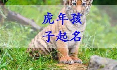 生肖虎的名字用福字合适吗（属鼠和属虎的姻缘如何）
