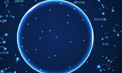 人和星座有关系吗（十二星座最详细的性格）