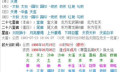 如何使用论八字软件（论八字免费版）