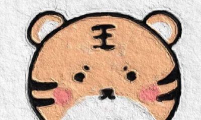 虎生肖2023年运程生意运程（74年属虎人今年运程）