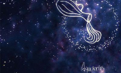 十二星座的日期是按农历算还是按阳历算例算呢（星座是按农历还是按什么算的）