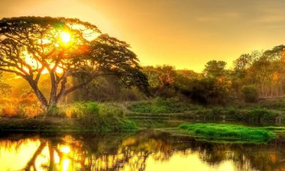 姓名五行属水念涛的字（五行属水的字及姓名学解释）