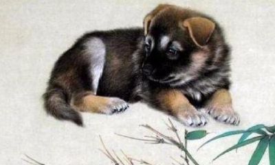 六一年生的属什么生肖（61年属牛的有二婚命）