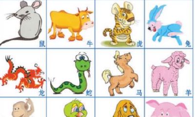 1967年是不是属羊的（1979年12月属羊的人什么命）