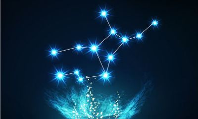 2023处女座全年运势陶白白（陶白白预测2023年星座运势）