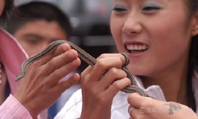 梦见很多蛇在身上爬是什么预兆（梦见到处都是蛇预示着什么）