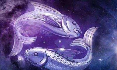 双鱼绝情的分手还能和好吗（双鱼男完全不理我了能挽回吗）