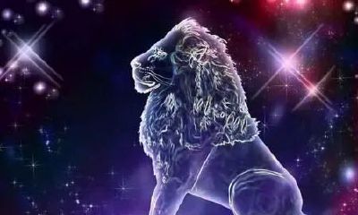 狮子座8月性格（5月27日是什么星座）