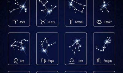 白羊座逃避人格（白羊座的特点是什么）