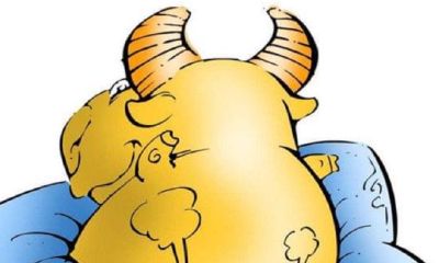 金牛是土象星座吗（风象星座和什么星座合得来）