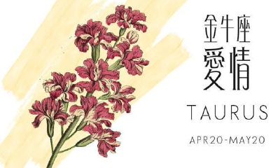 金牛爱情运势2023（金牛座2023年感情运势塔罗牌）