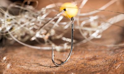 双子线钩绑主线上（67年属羊的每月运势）