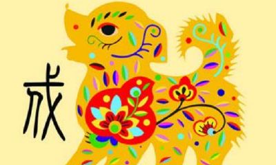 属狗的生肖是哪一年出生（生肖狗是哪一年出生）