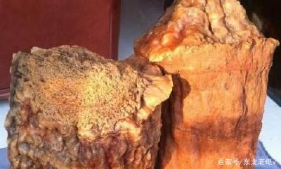 太岁是一种什么生物（太岁是怎么生长出来的）