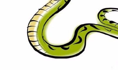 梦到蛇被别人打死了预示着什么（梦见蛇并且把蛇打死了）