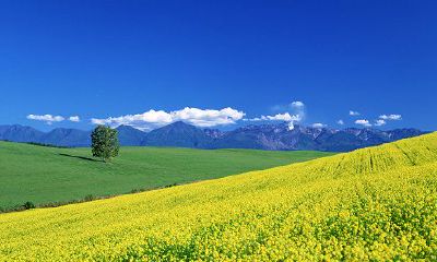 狮子座躁郁症（狮子座一到晚上就抑郁）