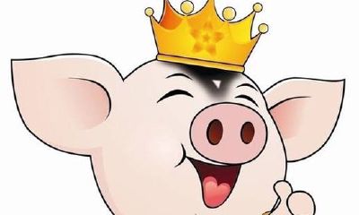 属猪人的行嫁月（属猪的人几月结婚是大利月）