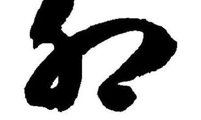 属兔人适合种什么植物（属兔的人最适合养什么植物）